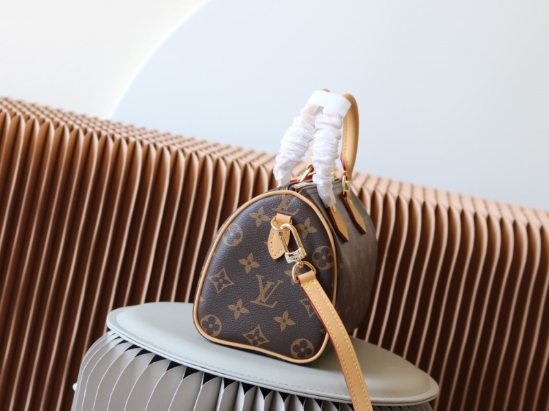 LV Speedy Bags